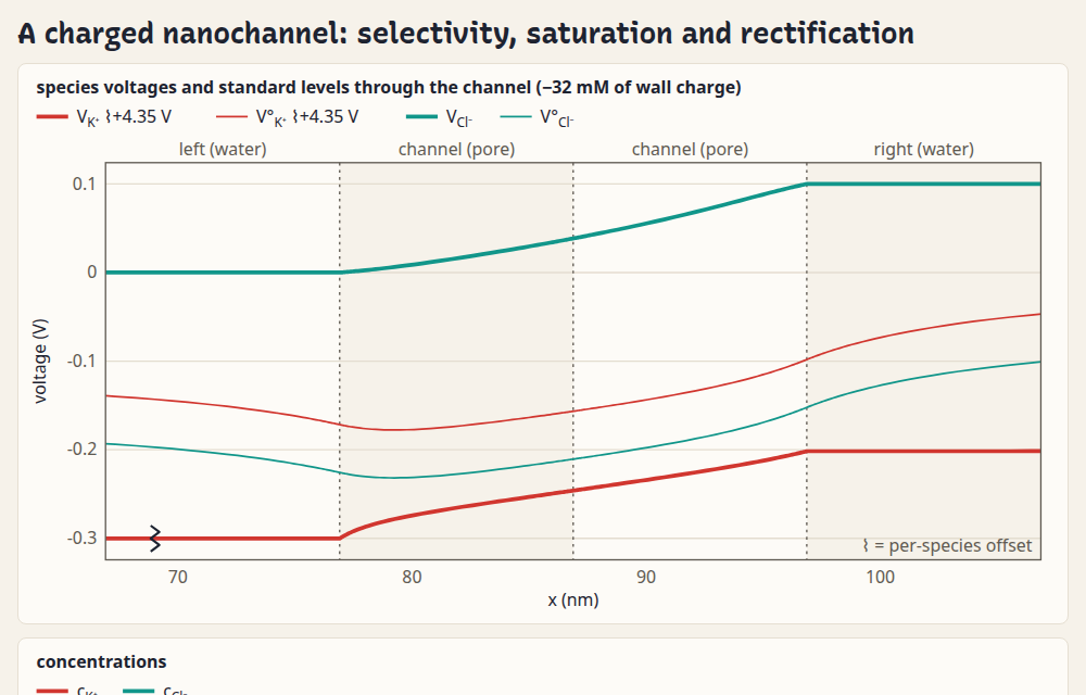 a charged nanochannel